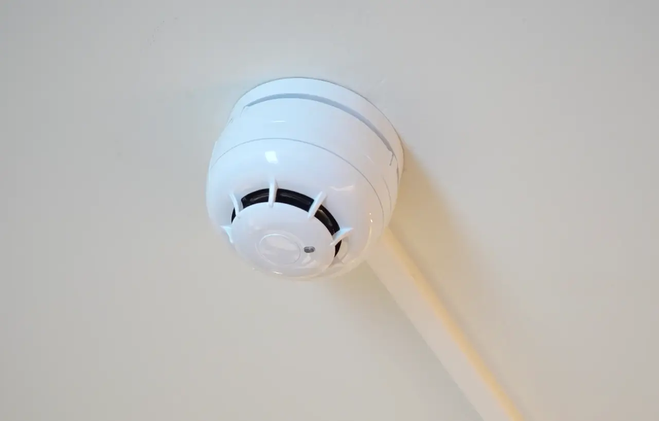 Rookdetector